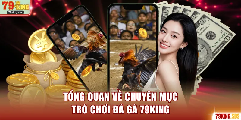 Tổng quan về chuyên mục trò chơi đá gà 79KING